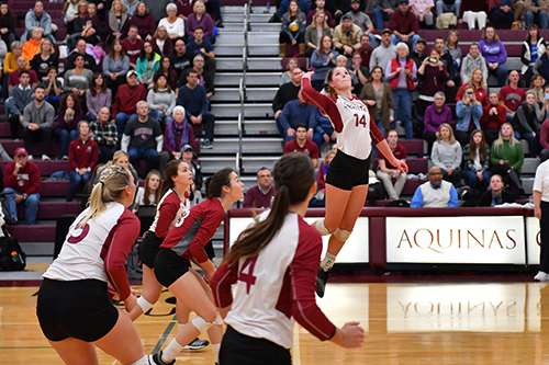 Athletic Coaching at Aquinas College, Grand Rapids, Michigan